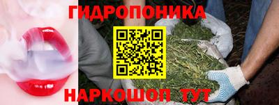 прущие грибы Рузаевка