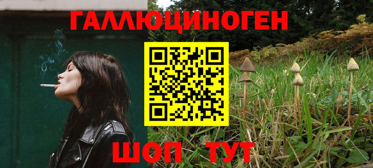Сегежа  Псилоцибиновые грибы Cubensis  Вход с VPN 