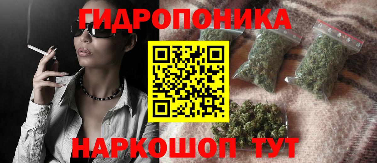 Бошки Шишки семена Сегежа